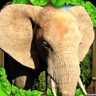 Download hack Elephant Simulator for Android - MOD Money