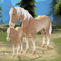 Download Horse Paradise: My Dream Ranch [MOD money] for Android