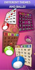 Download hack Bingo for Android - MOD Money