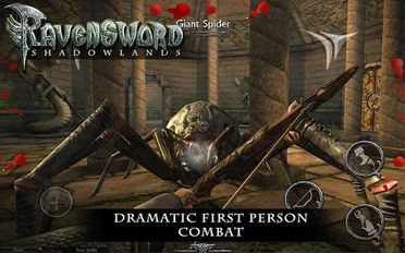 Download hacked Ravensword: Shadowlands 3d RPG for Android - MOD Money