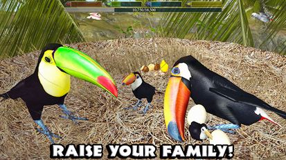 Download hacked Ultimate Bird Simulator for Android - MOD Unlimited money