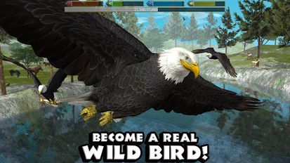 Download hacked Ultimate Bird Simulator for Android - MOD Unlimited money