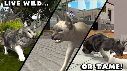 Download hacked Ultimate Cat Simulator for Android - MOD Unlimited money