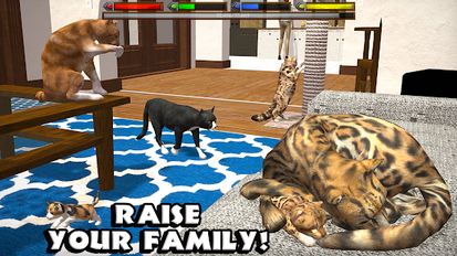 Download hacked Ultimate Cat Simulator for Android - MOD Unlimited money