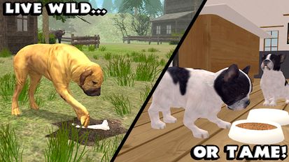 Download hack Ultimate Dog Simulator for Android - MOD Unlimited money