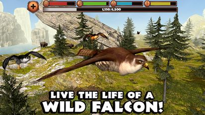 Download hacked Falcon Simulator for Android - MOD Unlocked