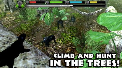 Download hack Panther Simulator for Android - MOD Money
