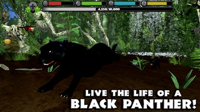 Download hack Panther Simulator for Android - MOD Money