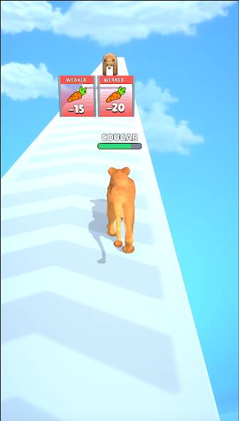 Download Cat Evolution [MOD Unlimited coins] for Android
