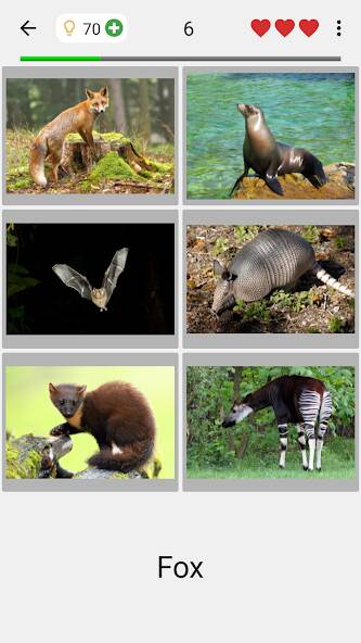 Download Animals Quiz Learn All Mammals [MOD Unlimited money] for Android
