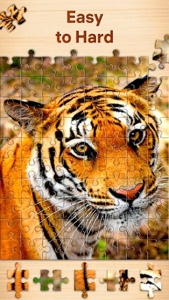 Download Jigsaw Puzzles - puzzle games [MOD Unlimited money] for Android