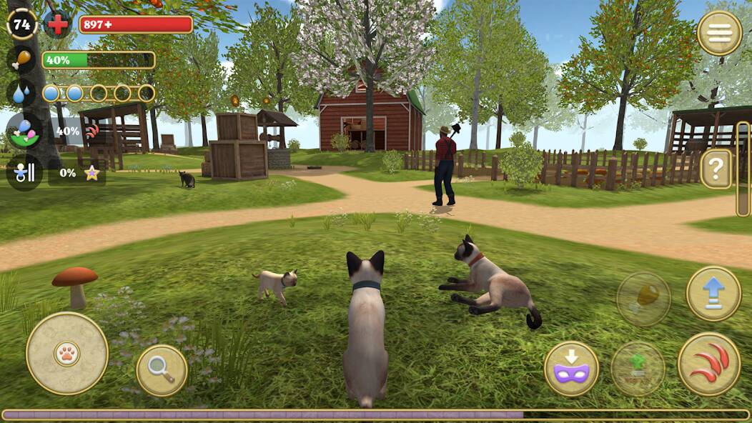 Download Cat Simulator : Kitties Family [MOD Unlimited coins] for Android
