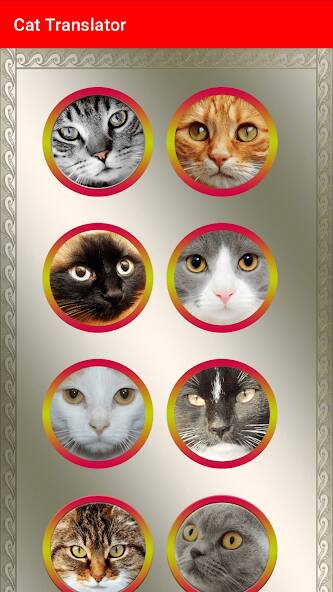 Download Cat Translator for Cats -prank [MOD coins] for Android