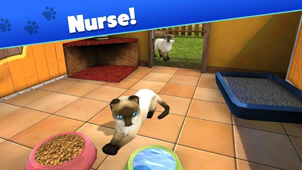 Download Pet World - My animal shelter [MOD Unlimited coins] for Android