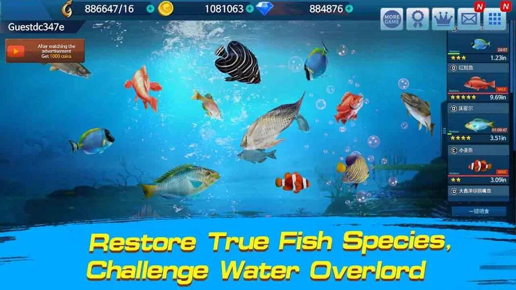 Download Fishing Championship [MOD Unlimited money] for Android