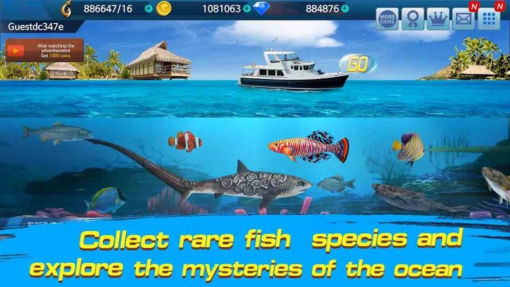 Download Fishing Championship [MOD Unlimited money] for Android