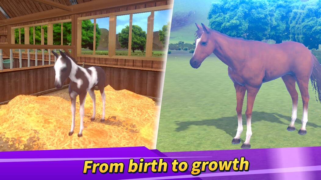 Download Derby Life : Horse racing [MOD coins] for Android